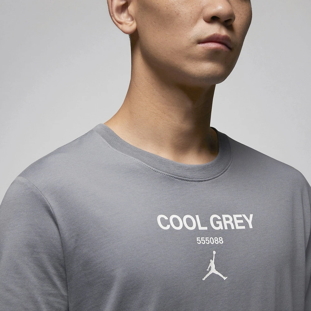 Air Jordan Cool Grey Tee FN3716065 Meet Market