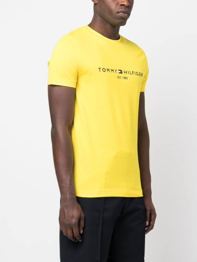 Tommy hilfiger online t shirt print