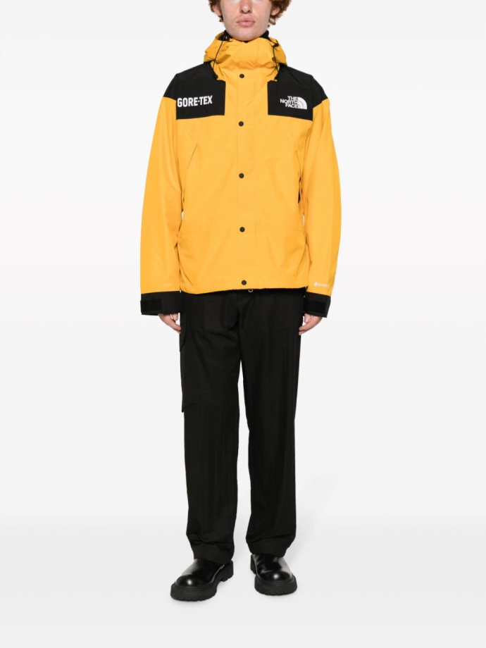 North face gore tex insulated jacket on sale